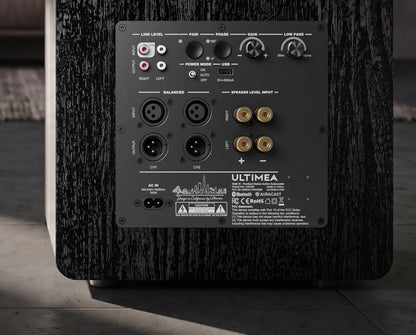 SUB-10 Smart 10" Subwoofer with Wireless Subwoofer Adapter