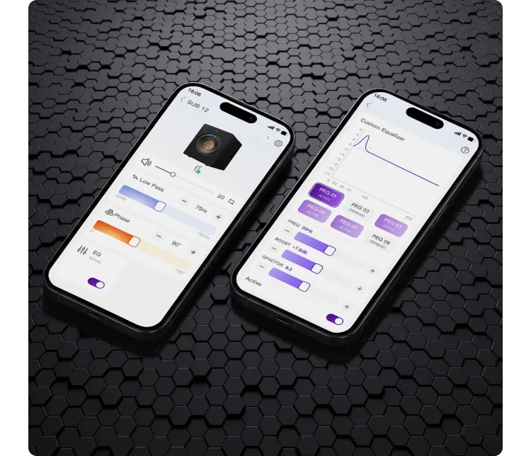 Professional Bass Control at Your Fingertips